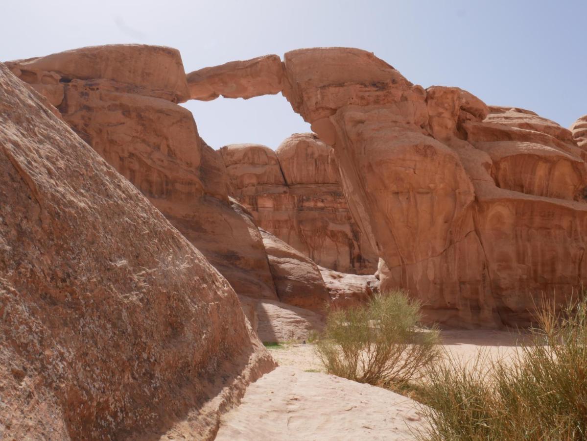 Wadi Rum Bedouin Tour With A Camp ภายนอก รูปภาพ