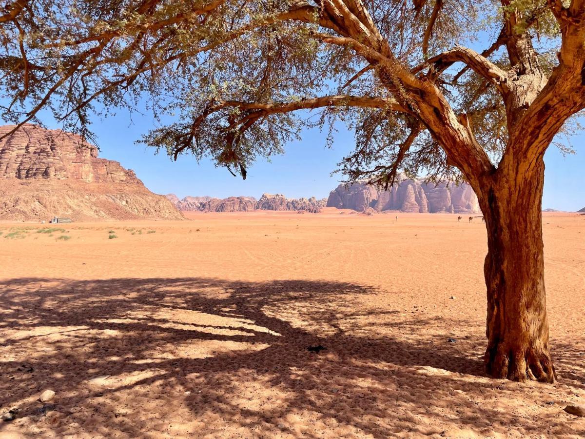 Wadi Rum Bedouin Tour With A Camp ภายนอก รูปภาพ