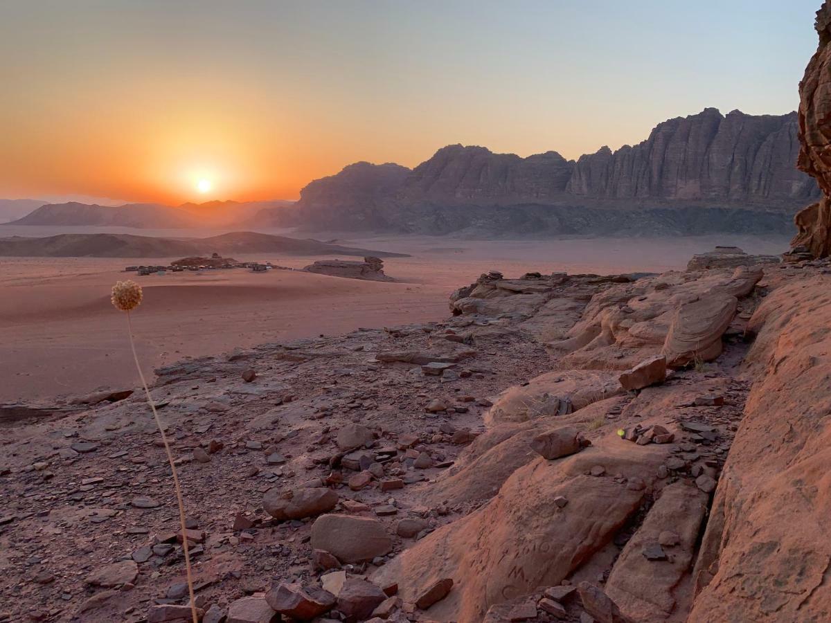 Wadi Rum Bedouin Tour With A Camp ภายนอก รูปภาพ